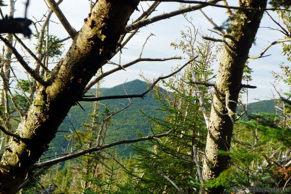 Mount Osceola and East Osceola Mountain