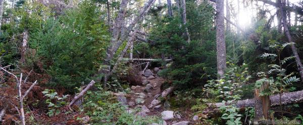 Mount Osceola and East Osceola Mountain