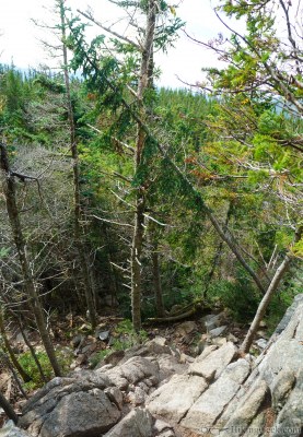 Mount Osceola and East Osceola Mountain